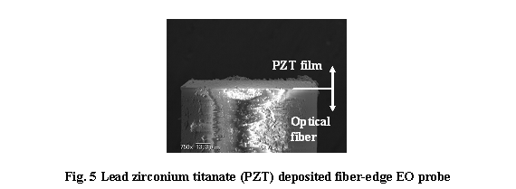 eLXg {bNX:  

Fig. 5 Lead zirconium titanate (PZT) deposited fiber-edge EO probe
