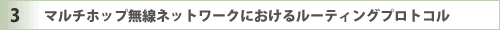 �}���`�z�b�v�����l�b�g���[�N�ɂ����郋�[�e�B���O�v���g�R���Ɋւ��錤��